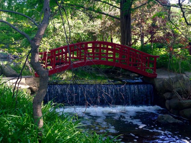 Red Bridge of Japanese Garden, Cranbrook